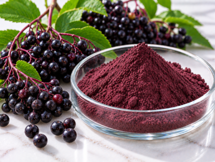 Elderberry Extract purple-red powder in a glass dish with fresh elderberries and green leaves