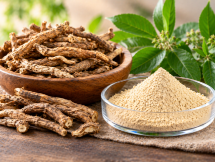Nettle Extract powder in a glass dish with dried nettle roots and green nettle leaves